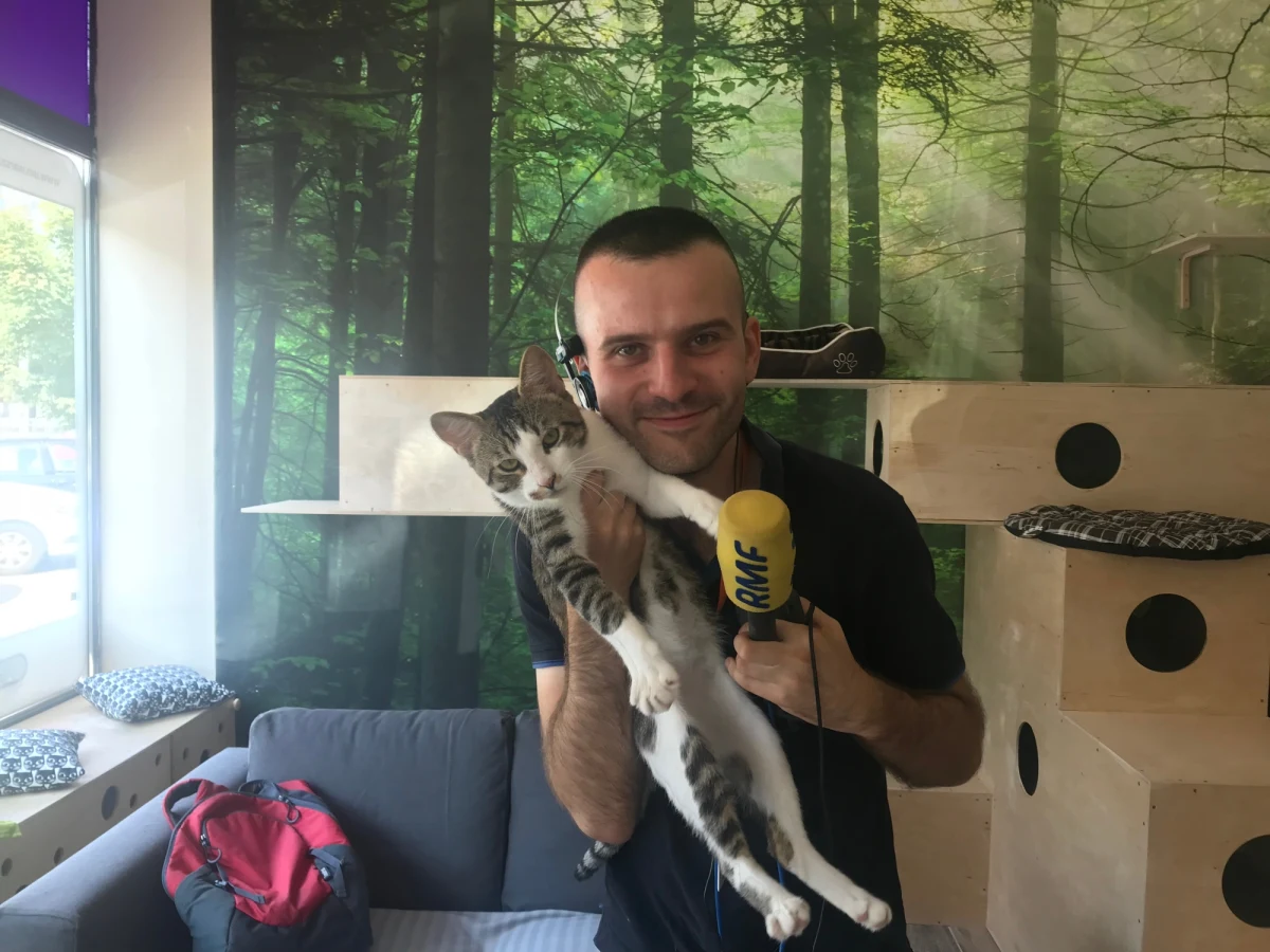 Ochota na kota. Pod taką nazwą w warszawskiej dzielnicy Ochota ruszyło modelowe mieszkanie dla kotów. Są tam dwa pokoje wyposażone w drapaki, kryjówki, półki, kuwety i inne akcesoria. W praktyce to punkt adopcyjny otwarty przez stołeczne Schronisko "Na Paluchu". Każdy może zgłosić się tam, żeby bezpłatnie adoptować kota.