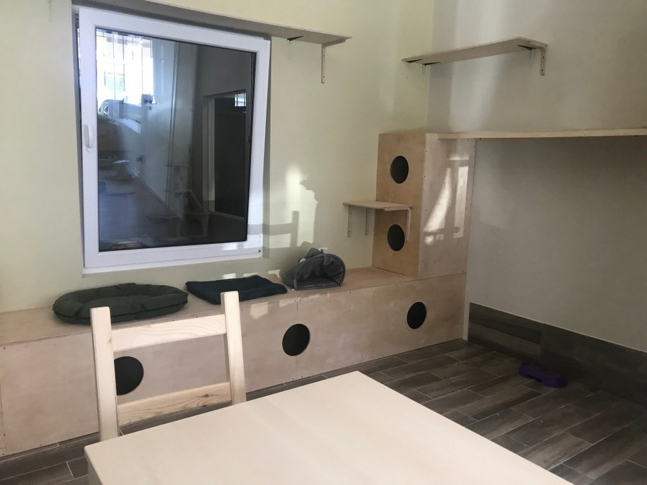 /Michał Dobrołowcz /Michał Dobrołowicz, RMF FM