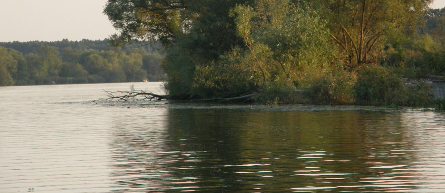 ​Mężczyzna w średnim wieku utonął w Jeziorze Osieckim w Osieku nad Wisłą (Kujawsko-pomorskie). Reanimacja przeprowadzona po wyciągnięciu go z wody nie przyniosła rezultatu.