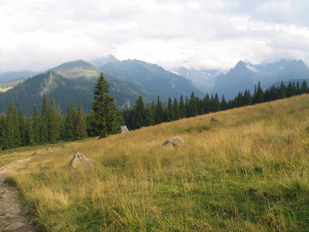 Turystka z Warszawy zażądała od TOPR natychmiastowego transportu. Kiedy sprawy potoczyły się nie po jej myśli, zaczęła grozić ratownikowi.