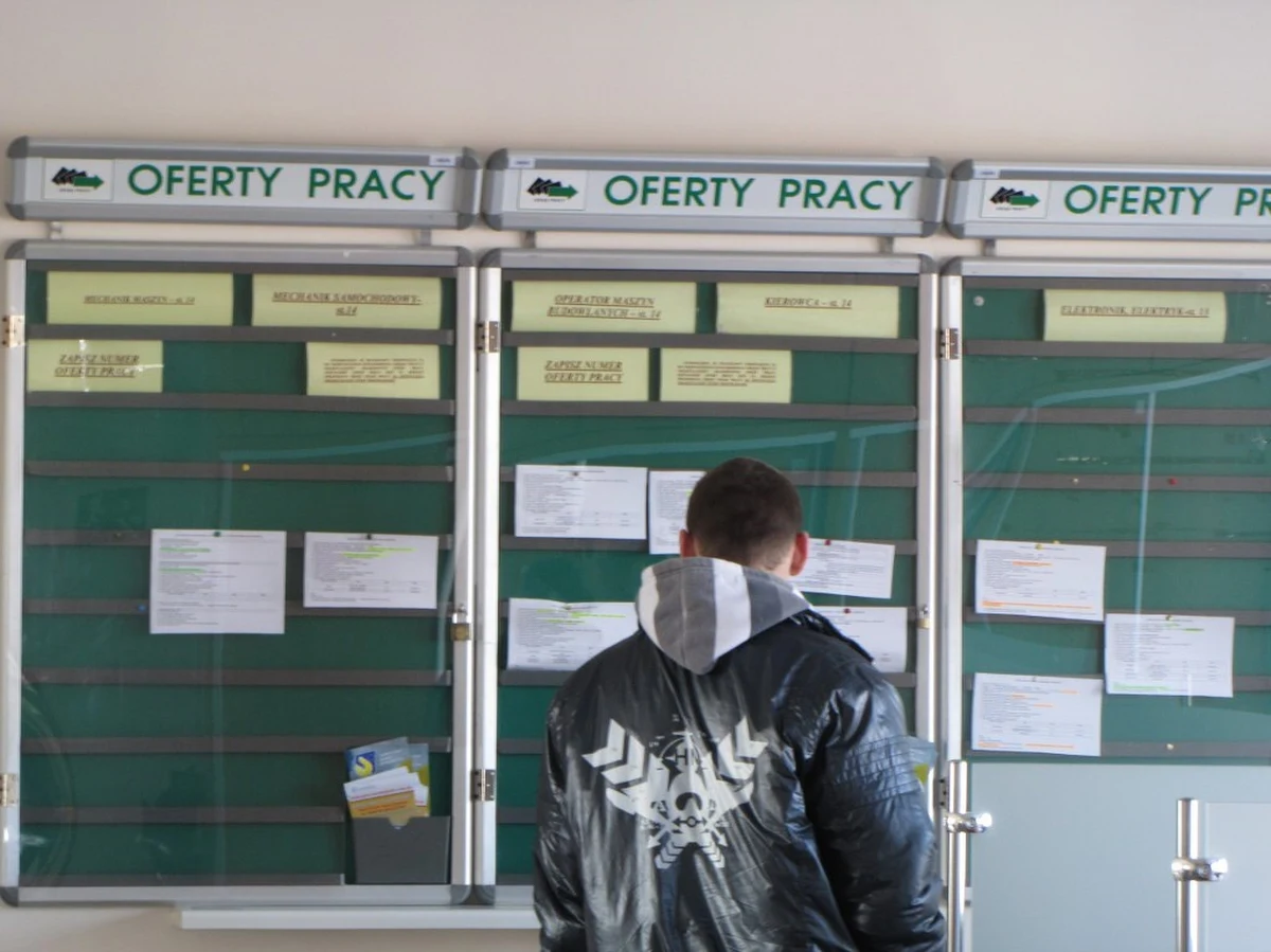 Już co piąta polska firma zatrudnia pracowników z Ukrainy. To wzrost aż o 10 procent w porównaniu do początku roku. Taki wniosek wypływa z najnowszego Barometru Imigracji Zarobkowej. Przygotowały go Personnel Service, Państwowa Służba Zatrudnienia Ukrainy oraz Pracodawcy RP.