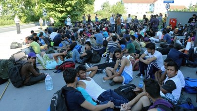 HRW zarzuca władzom Węgier, że przestano żywić część ubiegających się o azyl