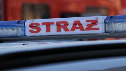 Duży pożar nieużytków w Gorzowie Wielkopolskim. Z ogniem walczyło 100 strażaków