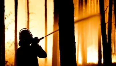 Niemcy: Potężny pożar lasu, ewakuowano kilkaset osób