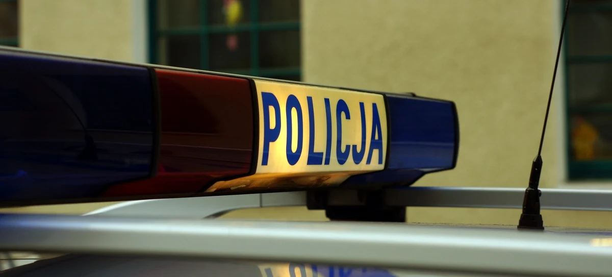 Zarzuty wprowadzania do obrotu produktów leczniczych bez wymaganego zezwolenia do sprzedaży na terenie Polski usłyszało pięciu obywateli Mołdawii. Mężczyźni w wieku od 31 do 43 lat wpadli na terenie warszawskiego Dworca Zachodniego. Policjanci z KSP zabezpieczyli ponad 250 ampułek o wartości prawie 90 tysięcy złotych.