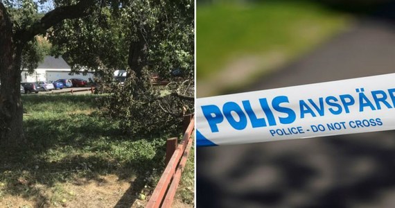 Dwaj chłopcy są podejrzani o brutalne zabójstwo imigranta z kraju Unii Europejskiej, którego ciało znaleziono w miejscowości Huskvarna w Szwecji. Czterej kolejni są wiązani w morderstwem. Wszyscy mają mniej niż 15 lat. 