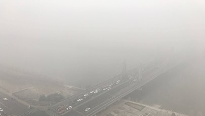 Smog nas ogłupia