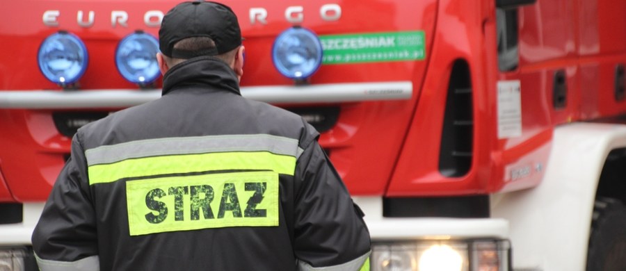 Dwóch nastolatków zostało ciężko poparzonych podczas pożaru nieużytków koło Gostynia Łobeskiego w Zachodniopomorskiem. Nie wiadomo dlaczego chłopcy znaleźli się w rejonie pożaru. Dzieci trafiły do szpitala w Szczecinie i Koszalinie.
