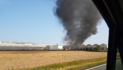 Pożar koło Kluczborka. Palił się 15-metrowy silos 