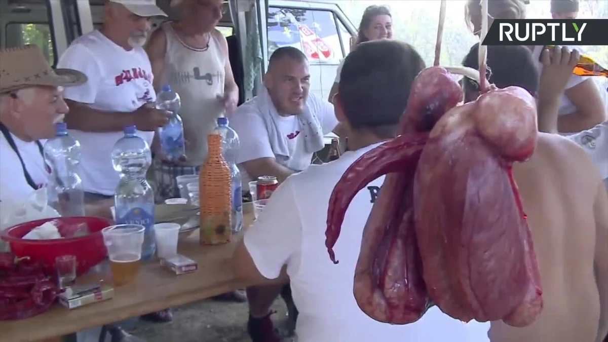 18 zespołów kucharzy z całego świata wzięło udział w mistrzostwach świata w przygotowaniu potraw ze zwierzęcych jąder w serbskiej Lipovicy. Jurorzy oceniają smak dań m.in. z wielbłądów, kangurów czy wołów. Pierwsze zawody odbyły się tak w 2004 roku. "Nie zabraknie mi jaj. Przywiozłem ze sobą 12 par, więc razem mam 26 jaj, aby stawić czoła rywalom. Sądzę, że to wystarczy" – ocenił Phillipe Etchebite, biorący udział w mistrzostwach kucharz z Francji. Na zwycięzców czekały puchary w kształcie męskich członków.