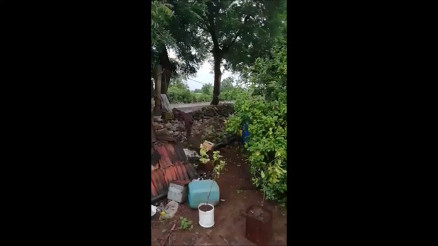 Takie sceny tylko w Indiach. Odważny pies widząc zagubionego lwa na swoim podwórku postanowił go przegonić. 