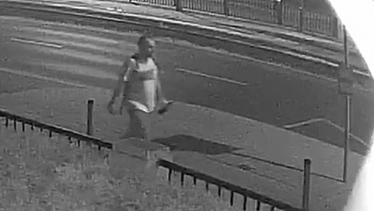 Poznańska policja, poszukująca sprawcy podpaleń z 4 września na poznańskim Grunwaldzie, opublikowała zdjęcia z monitoringu, na których widoczna jest sylwetka prawdopodobnego podpalacza. Wszyscy, którzy rozpoznają mężczyznę, proszeni są o kontakt z policją. Komendant Miejski Policji w Poznaniu zapowiedział, że osoba, która pomoże w rozpoznaniu i zatrzymaniu podpalacza, dostanie nagrodę pieniężną.