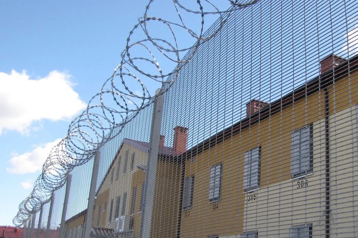 ​Na cztery miesiące trafił do więzienia mieszkaniec Iławy, który wiosną w okolicach Działdowa brutalnie zabił psa. Oprawca nie wiedział, że sąd wymierzył mu cztery miesiące więzienia. Dowiedział się o tym, gdy stawił się na policji w ramach dozoru.