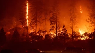 SOS dla Ziemi: Francuscy naukowcy biją na alarm 