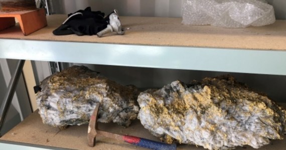 Górnicy w kopalni w Kambalda w zachodniej Australii znaleźli dwa olbrzymie kawałki skały zawierające złoto, którego wartość szacowana jest na miliony dolarów. 