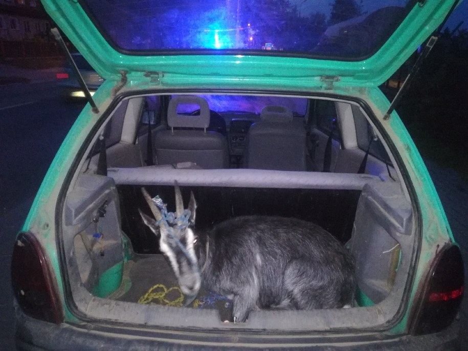 /zdj. KPP w Ostródzie /