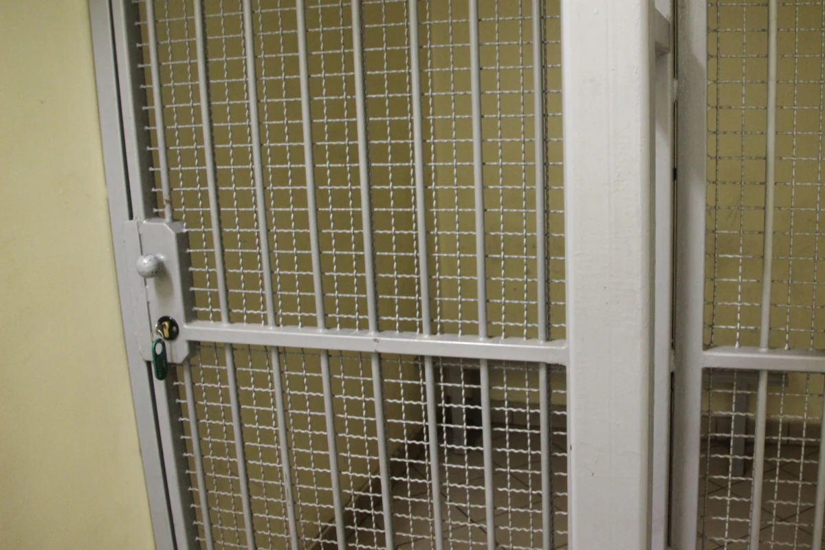 ​Podejrzany o zastrzelenie mieszkanki Mrągowa Cezary F. został tymczasowo aresztowany na 3 miesiące pod zarzutem zabójstwa - poinformował rzecznik Prokuratury Okręgowej w Olsztynie Krzysztof Stodolny.