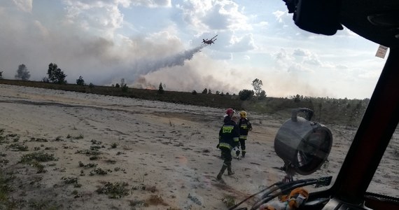 Strażacy walczą z pożarem koło Świętoszowa na Dolnym Śląsku. Ogień pojawił się na poligonie wojskowym. 