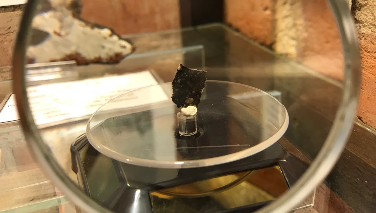 To rzecz rzadsza od najrzadszych ziemskich minerałów. Do Muzeum Kamieni w Kamieniu Pomorskim trafił fragment lunaitu, czyli księżycowego meteorytu. Niewielki kawałek skały, który najlepiej widać przez lupę, pochodzi z tzw. ciemnej strony Księżyca. 