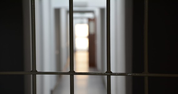 Ponad 10 tys. plików z dziecięcą pornografią znaleźli funkcjonariusze policji u 53-latka z Konina. Mężczyzna usłyszał zarzut posiadania treści pornograficznych z małoletnimi poniżej 15 lat. Przyznał się do winy, grozi mu do 5 lat więzienia.
