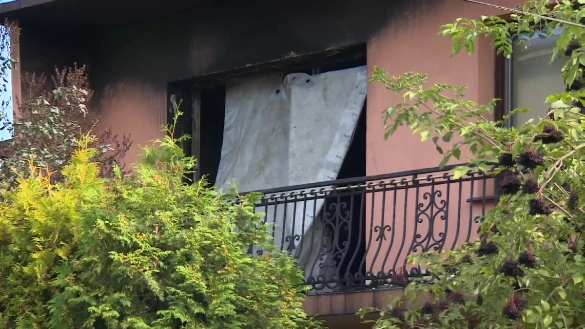 Znane są wstępne wyniki sekcji zwłok kobiety zabitej przez 16-latka w Częstochowie. Do zbrodni doszło tydzień temu. Nastolatek uderzył kobietę, skrępował ją, a potem jeszcze podpalił dom. Kobieta zginęła od uderzenia w głowę.