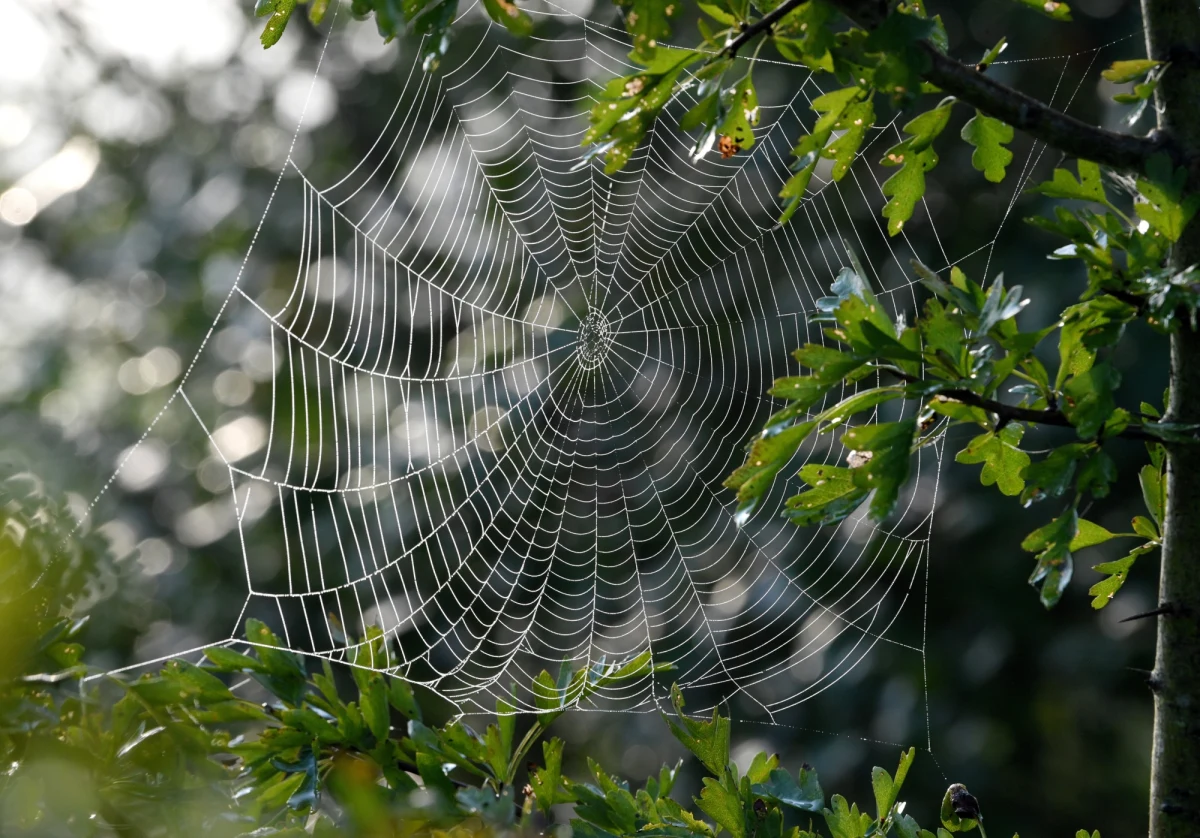 Tylko jeszcze dzisiaj będzie bardzo ciepło -  do 30 stopni Celsjusza -  w całej Polsce. W sobotę nastąpi gwałtowne ochłodzenie. W Tatrach spadnie śnieg, a temperatura w nocy wyniesie 0 st. C.