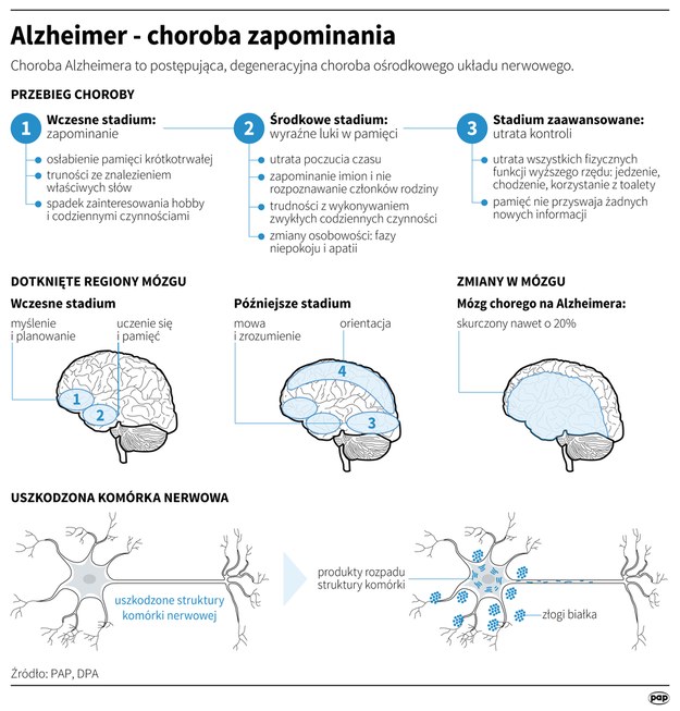 /Infografika PAP /PAP/DPA