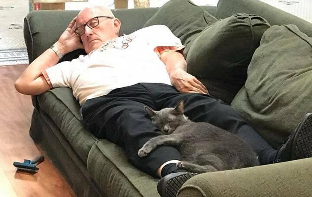 Zdjęcia emeryta z Wisconsin w USA i jego kocich podopiecznych ze schroniska jest hitem internetu. Stopiło wiele serc, a tym samym sprawiło, że na konto instytucji spadł grad dolarów.