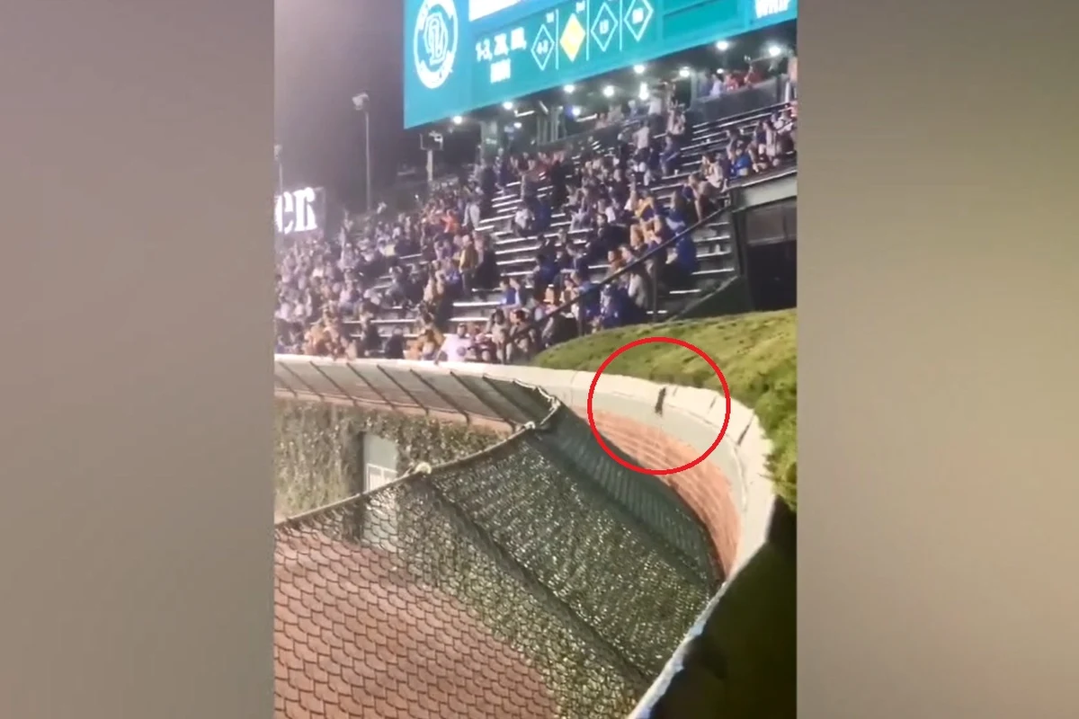 Szczur skradł show podczas meczu Chicago Cubs z Pittsburgh Pirates w lidze MLB. W pewnym momencie kibiców zamiast rywalizacji baseballistów rozgrzała walka gryzonia. Szczur usiłował przeskoczyć z siatki na trawę znajdującą się na ścianie oddzielającej boisko od trybun. Kiedy mu się udało, publiczność nagrodziła go gromkimi brawami.