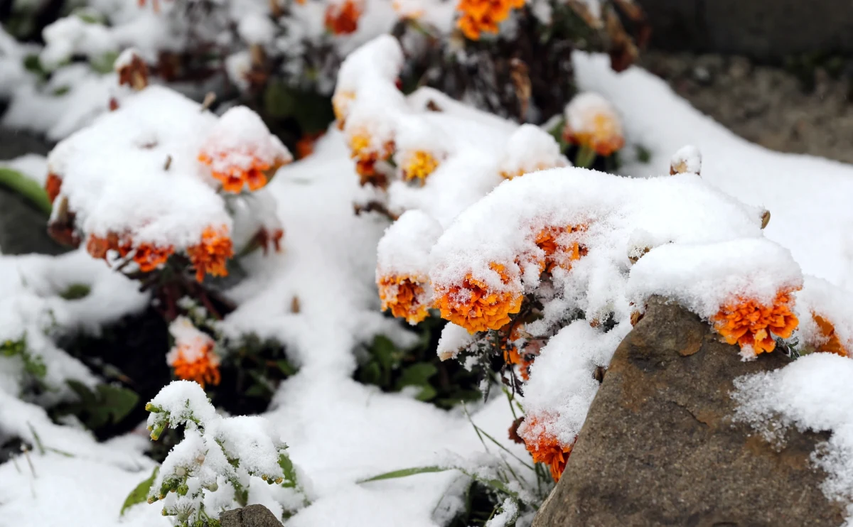 W czwartek i piątek słupki rtęci poszybują w górę, ale ostatni weekend września nie zapowiada się najlepiej. W sobotę termometry w wielu miejscach w kraju pokażą jedynie 13 st. Celsjusza. Będzie pochmurnie i deszczowo. 