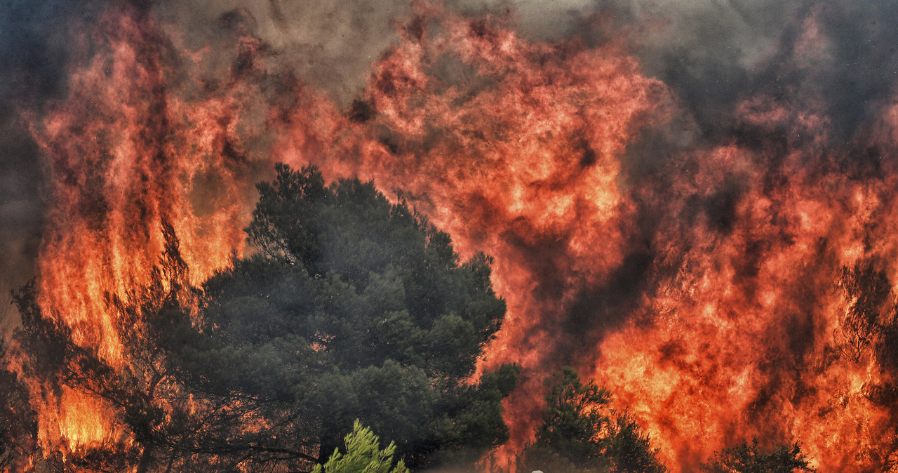 ¿Cómo protegemos los edificios de los incendios? Los científicos sugieren gel en aerosol