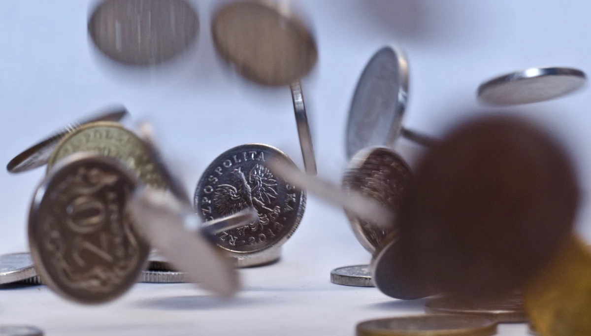 ​Choć w 2017 roku skarbówka zapobiegła wyłudzeniu 57 mld zł, przestępców nie zniechęciła - podaje "Rzeczpospolita".