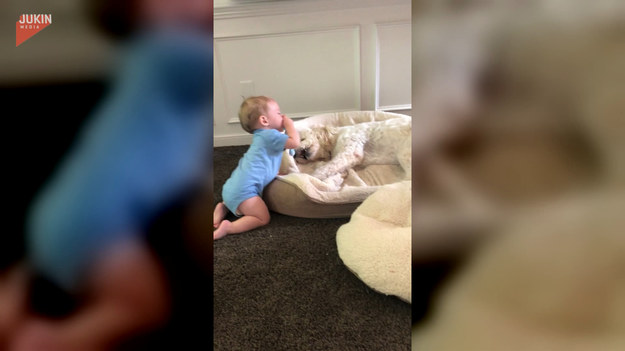 Tego psa i dziecko łączy niezwykła więź. Jak widać na nagraniu uwielbiają się ze sobą bawić. Urocze, prawda?