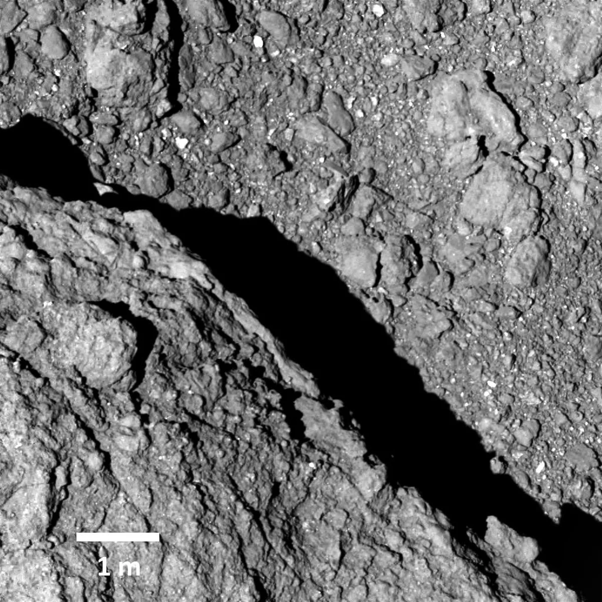 Japońska Agencja Badań Kosmicznych (JAXA) opublikowała kolejną serię zdjęć i krótki filmik z planetoidy Ryugu, na której w ubiegłym tygodniu wylądowały dwa próbniki misji Hayabusa 2. Zrzucone na powierzchnię kosmicznej skały sondy systemu MINERVA-II1, Rover-1A i Rover-1B potwierdziły, że są w dobrym stanie, pracują, przesyłają na Ziemię dane i zdjęcia. Najlepsze z dostępnych do tej pory zdjęć zostało wykonane z pomocą kamery ONC-T (Optical Navigation Camera - Telescopic) z wysokości około 64 metrów.