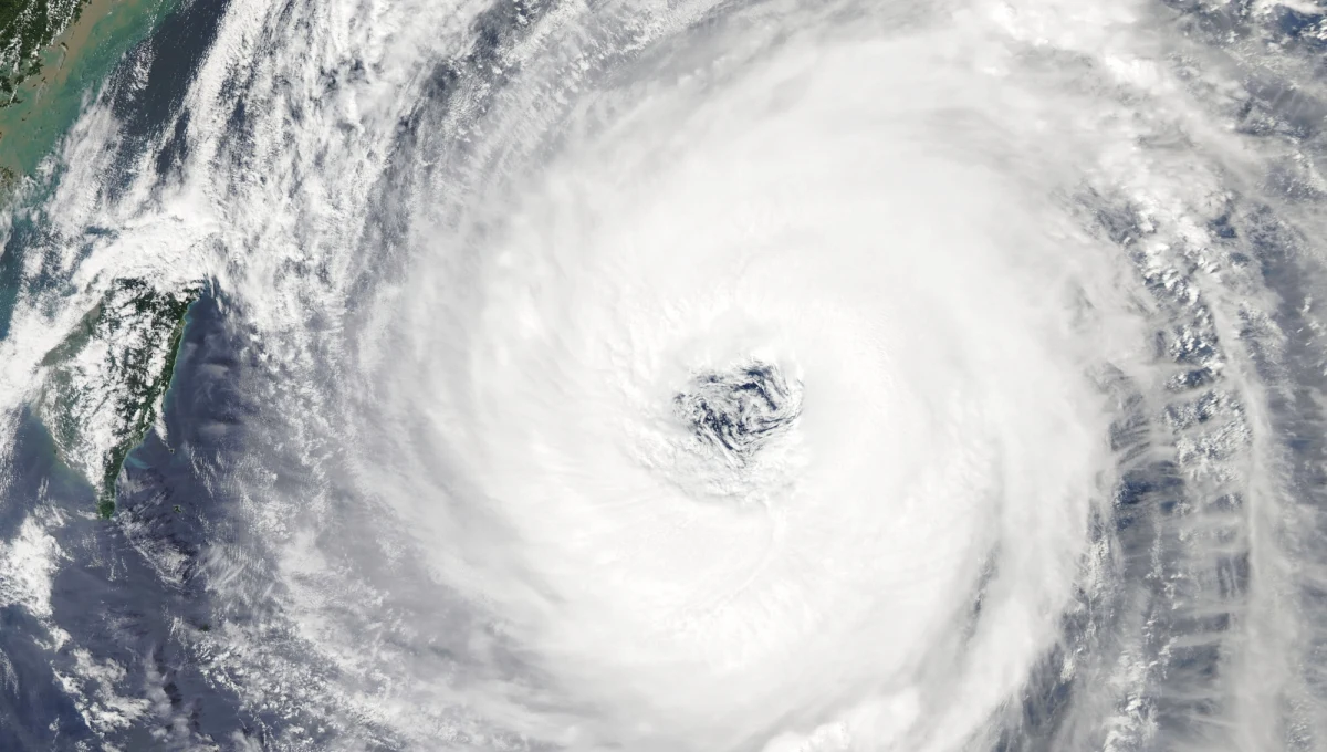 Tajfun Trami uderzył na południu Japonii. W wyniku ataku żywiołu rany odniosło co najmniej 76 osób, są znaczne utrudnienia w ruchu drogowym, anulowano ponad 1000 lotów i zamknięto międzynarodowe lotnisko Kansai, koło Osaki.
