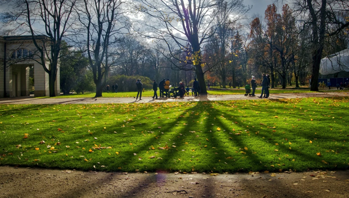 Od poniedziałku warszawiacy będą mogli sprawdzić, które drzewa w ich okolicy zostały wskazane do wycięcia - poinformował stołeczny ratusz. Jak wytłumaczono, w pierwszej kolejności usuwane są drzewa, które zagrażają bezpieczeństwu ludzi bądź mieniu.