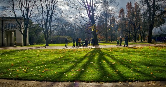 Od poniedziałku warszawiacy będą mogli sprawdzić, które drzewa w ich okolicy zostały wskazane do wycięcia - poinformował stołeczny ratusz. Jak wytłumaczono, w pierwszej kolejności usuwane są drzewa, które zagrażają bezpieczeństwu ludzi bądź mieniu.