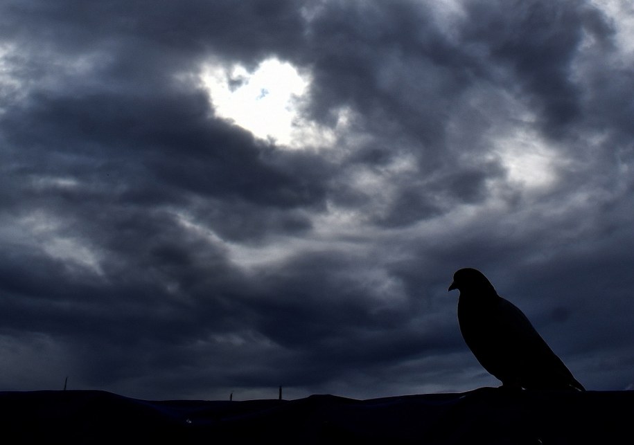 /ALEJANDRO ZEPEDA /PAP/EPA