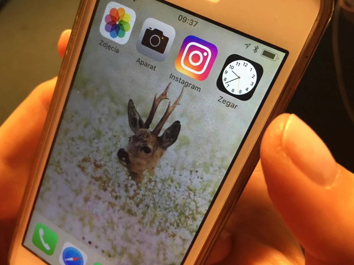 Dziś rano nie działał Instagram - popularny serwis społecznościowy. Awaria została już usunięta.