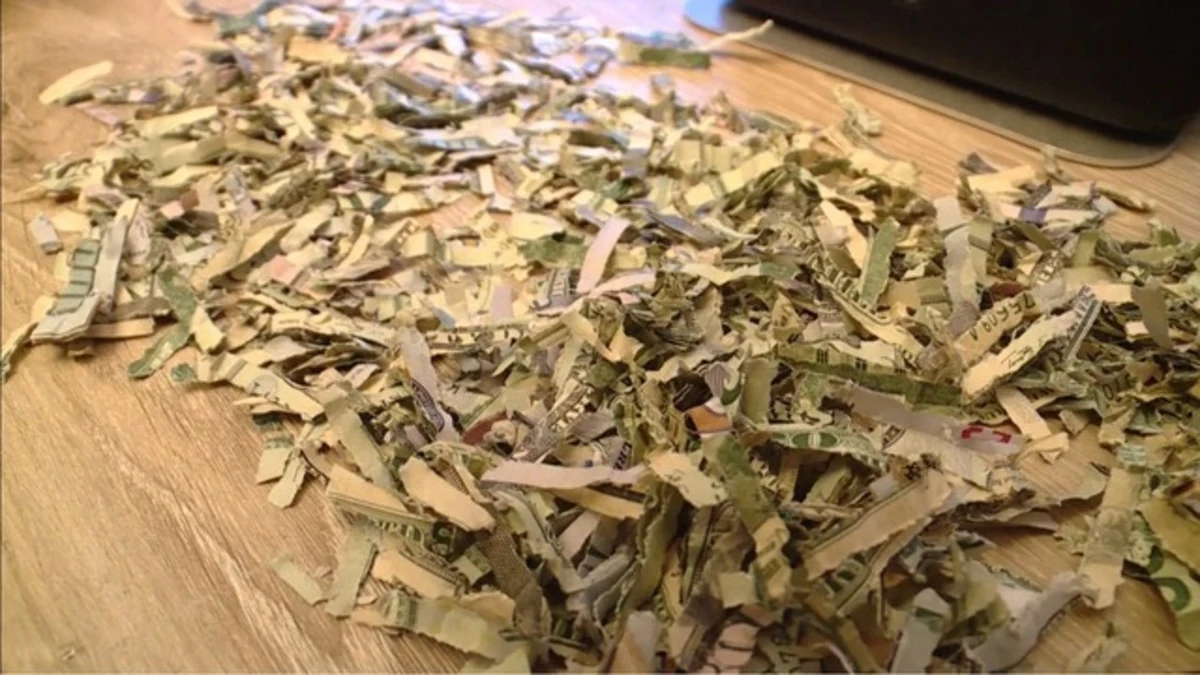 Rodzice małego Leo odkładali pieniądze z myślą o spłacie długu. Uzbierali ponad 1000 dolarów. Pewnego dnia pocięte banknoty znaleźli w niszczarce dokumentów. 