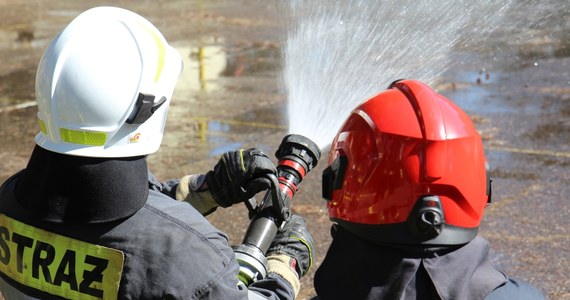 Trwa dogaszanie pożaru w miejscowości Braciszewo pod Gnieznem w Wielkopolsce. W nocy z niedzieli na poniedziałek z pożarem hali produkcyjno-magazynowej walczyło ok. 30 zastępów strażaków. W pożarze nikt nie ucierpiał, ale straty wstępnie szacowane są na kilka milionów zł.