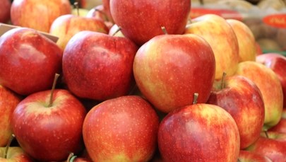 Interwencyjny skup jabłek: Znamy ważne szczegóły
