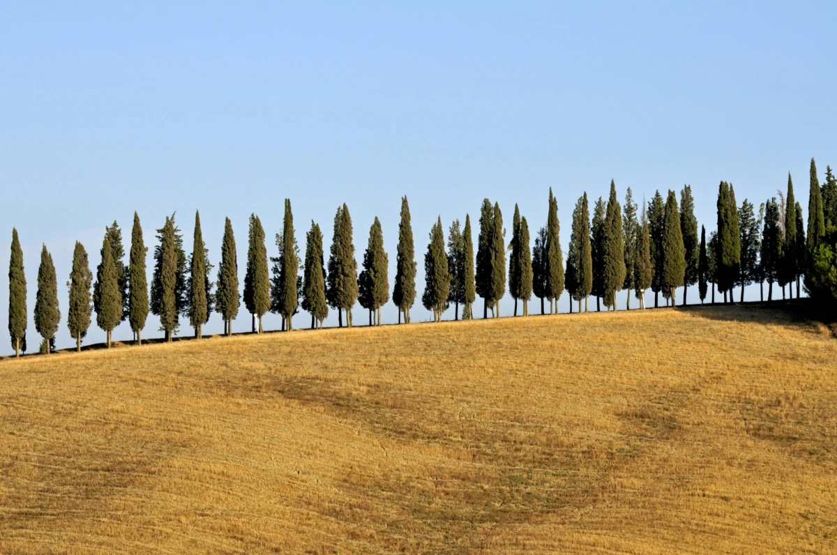 Rok 2018 zapowiada się jako najgorętszy we Włoszech od 1800 r., czyli od momentu, gdy rozpoczęły się pomiary temperatur - ogłosił Instytut Nauk o Atmosferze i Klimacie w krajowym Komitecie Badań Naukowych w Rzymie.