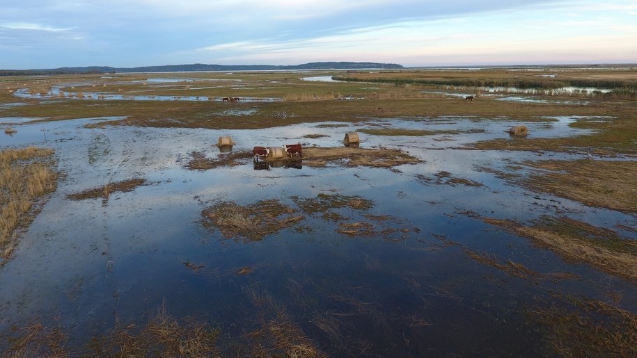 /Źródło: iswinoujscie.pl /