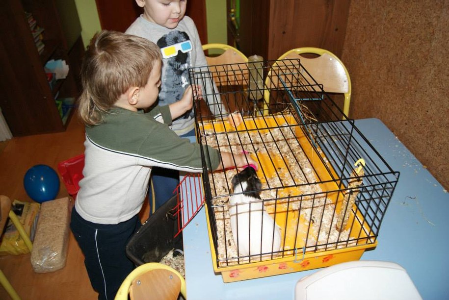 /Karolina Michalik /RMF FM