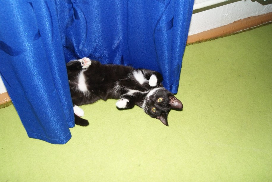 /Karolina Michalik /RMF FM