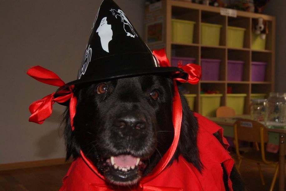 /Karolina Michalik /RMF FM