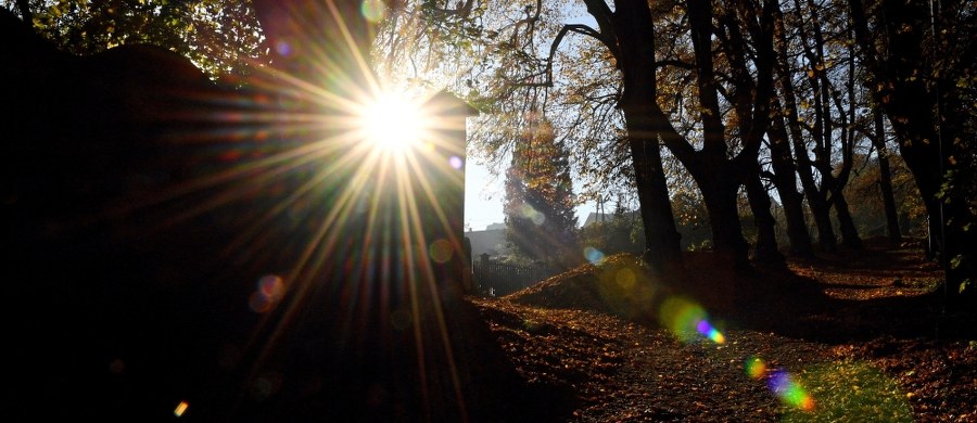 Ciepła, jesienna aura utrzyma się w przyszłym tygodniu. W całym kraju nowy tydzień rozpocznie się słonecznie. W większości regionów temperatura nadal będzie przekraczać w ciągu dnia 20 stopni Celsjusza.