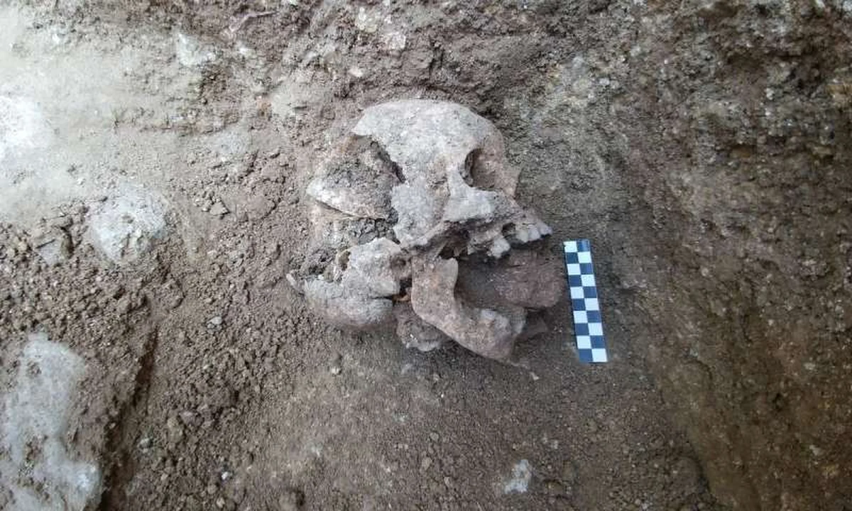 Archeolodzy dokonali niezwykłego odkrycia na cmentarzu dziecięcym we włoskim mieście Teverina. Znaleźli tam szkielet 10-letniego chłopca z kamieniem wciśniętym w usta. 