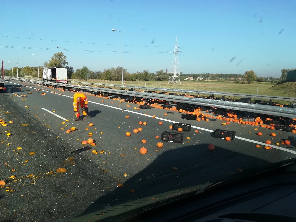 Ciężarówka jadąca autostradą A2 w okolicy Konina zgubiła ładunek. Na jezdnię posypały się… dynie. 